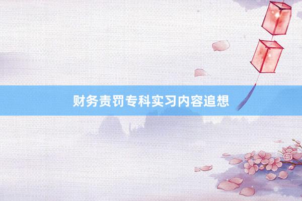 财务责罚专科实习内容追想
