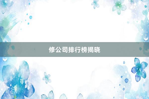 修公司排行榜揭晓