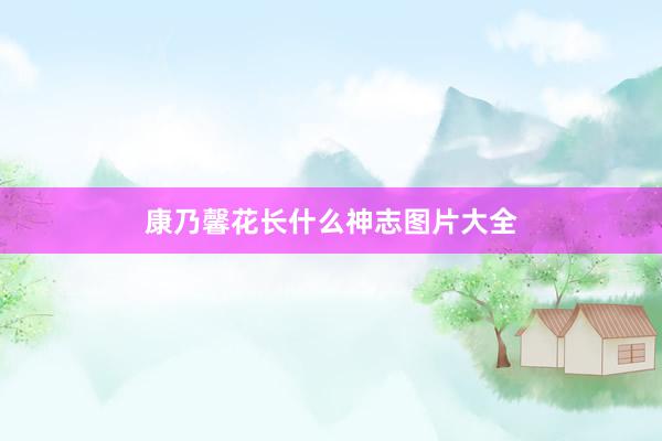 康乃馨花长什么神志图片大全